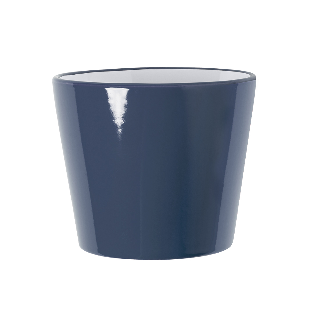 Tazza Kario
