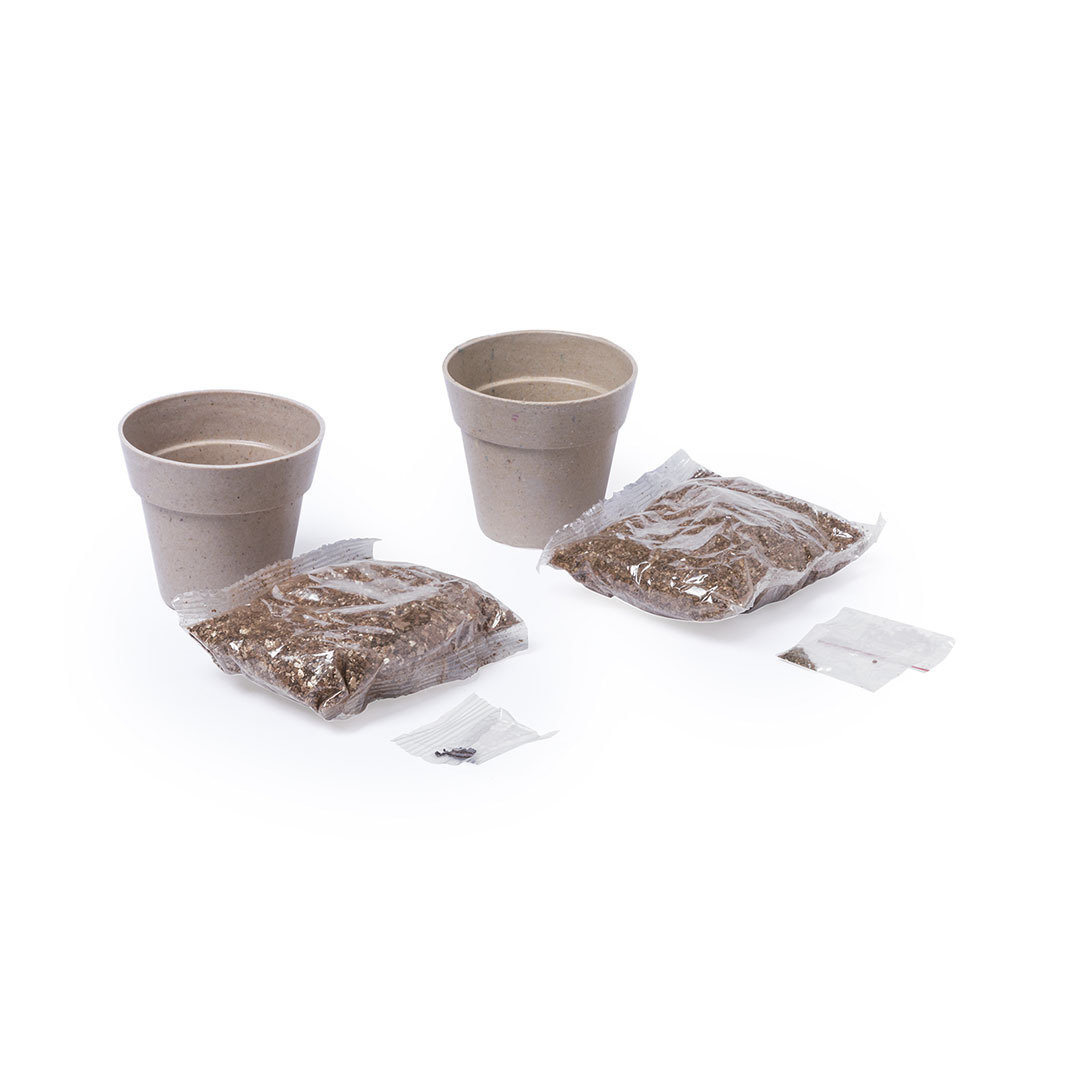 Set Vaso Nertel