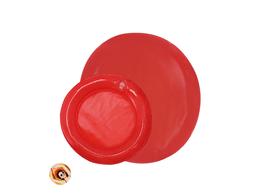 Frisbee con Cuscinetto Zalox